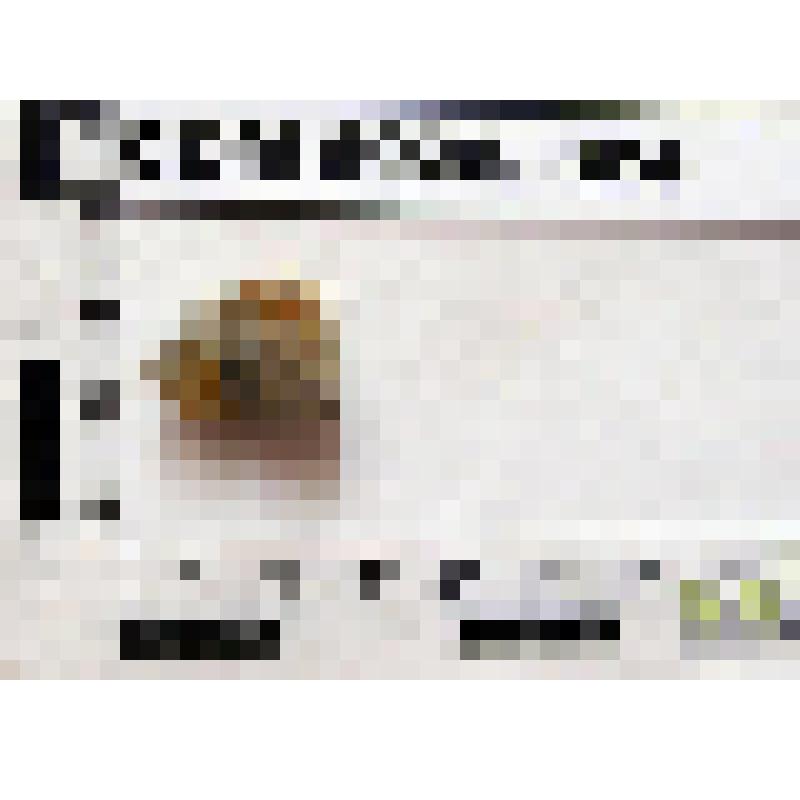 Бусины обломок