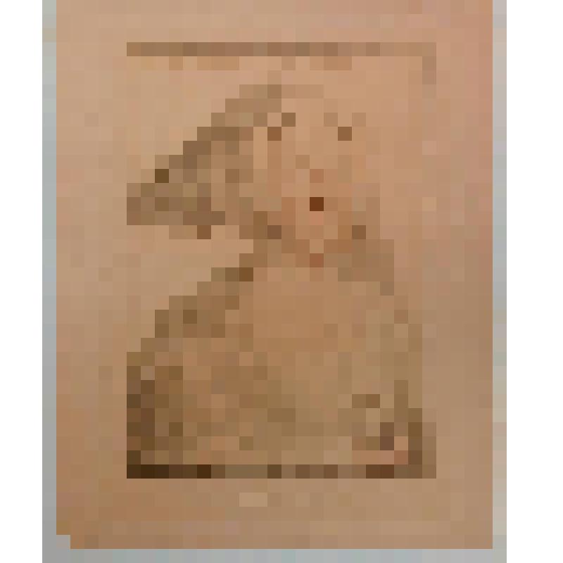 Портрет маркизы Дорсет