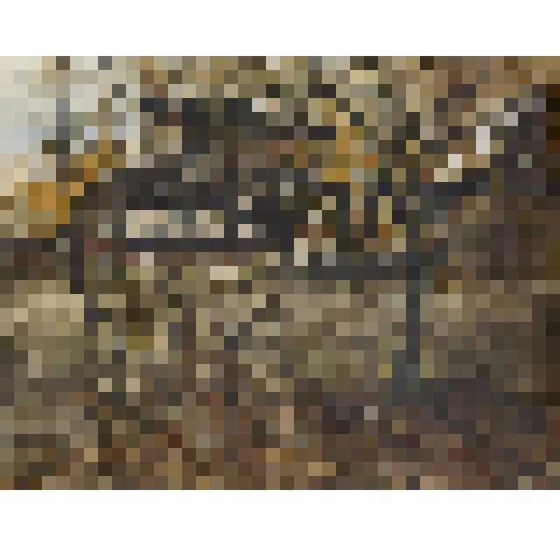 Усадьба декабристов