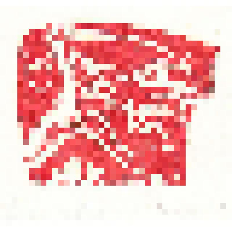 Экслибрис "Ex Libris Алоиза Крылова"