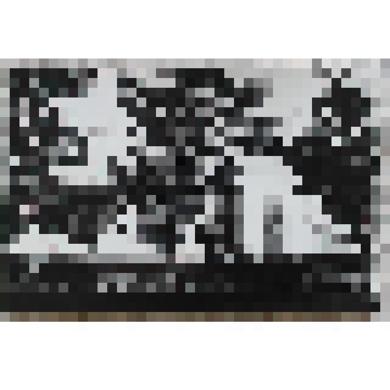 Фото. Торговый  центр  к - за  им. Ленина