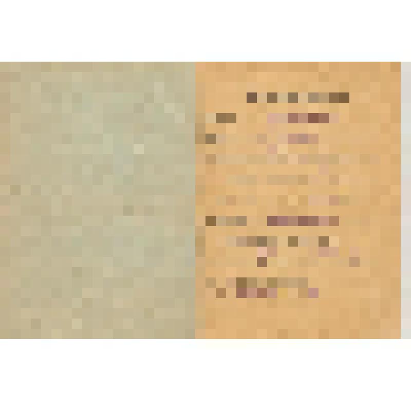 Документ. Трудовая книжка  Филиппова Андрея Васильевича