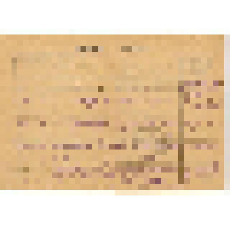 Документ. Трудовая книжка  Филиппова Андрея Васильевича