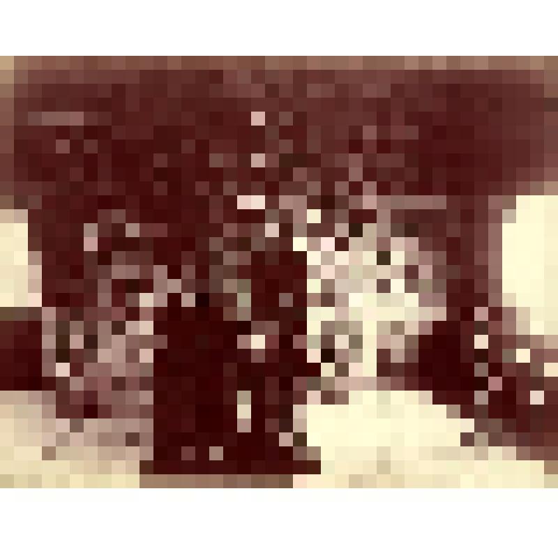 Фотография. Внутренний вид молельни Оленинского скита