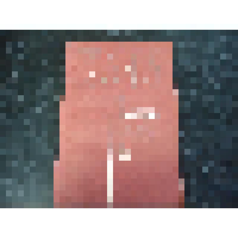 Книга " БАМ и народы Севера"