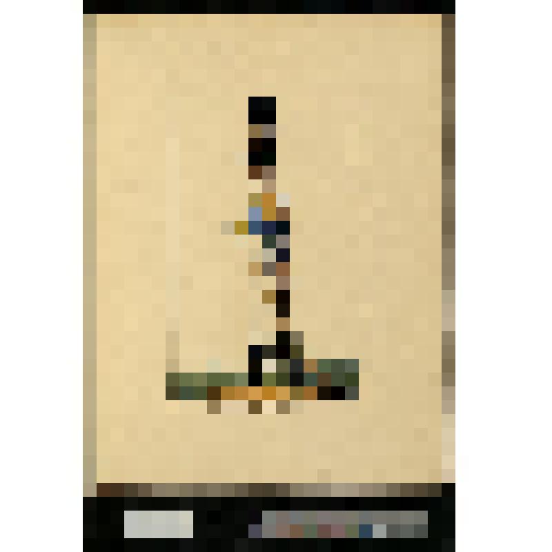 Адъютант неаполитанской армии