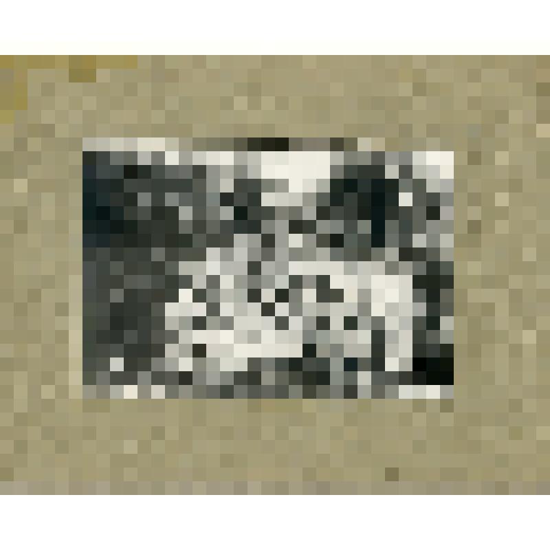 Василий Андреевич Шелгунов в группе на отдыхе