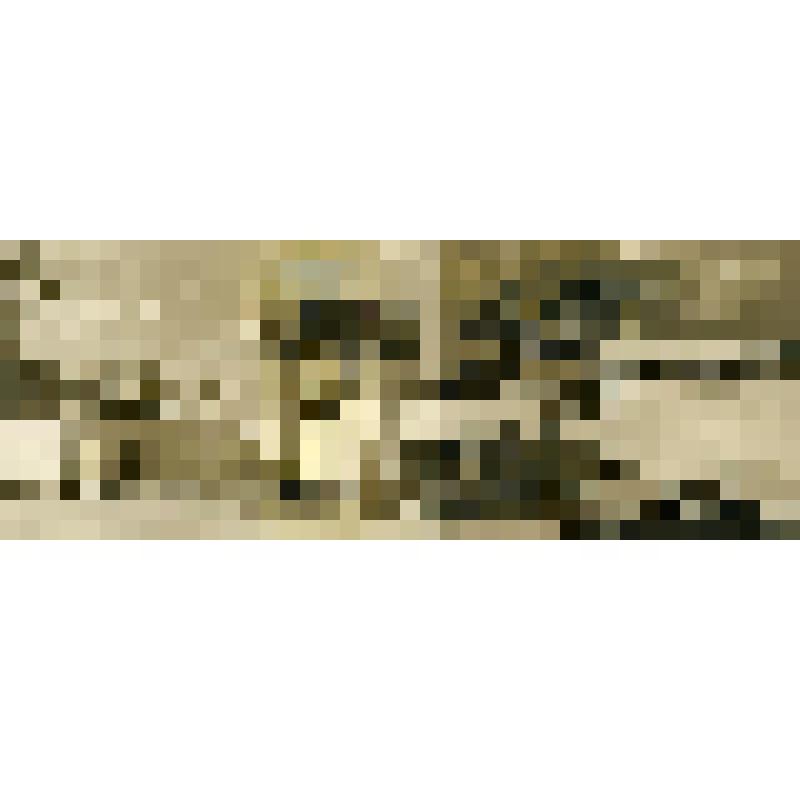 Фотография. Павильон Узбекской ССР на Всесоюзной сельскохозяйственной выставке