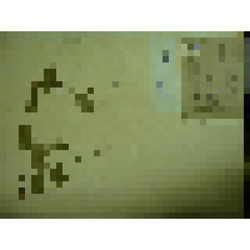 Гербарий. Княженика, гербария М.И.Губельмана