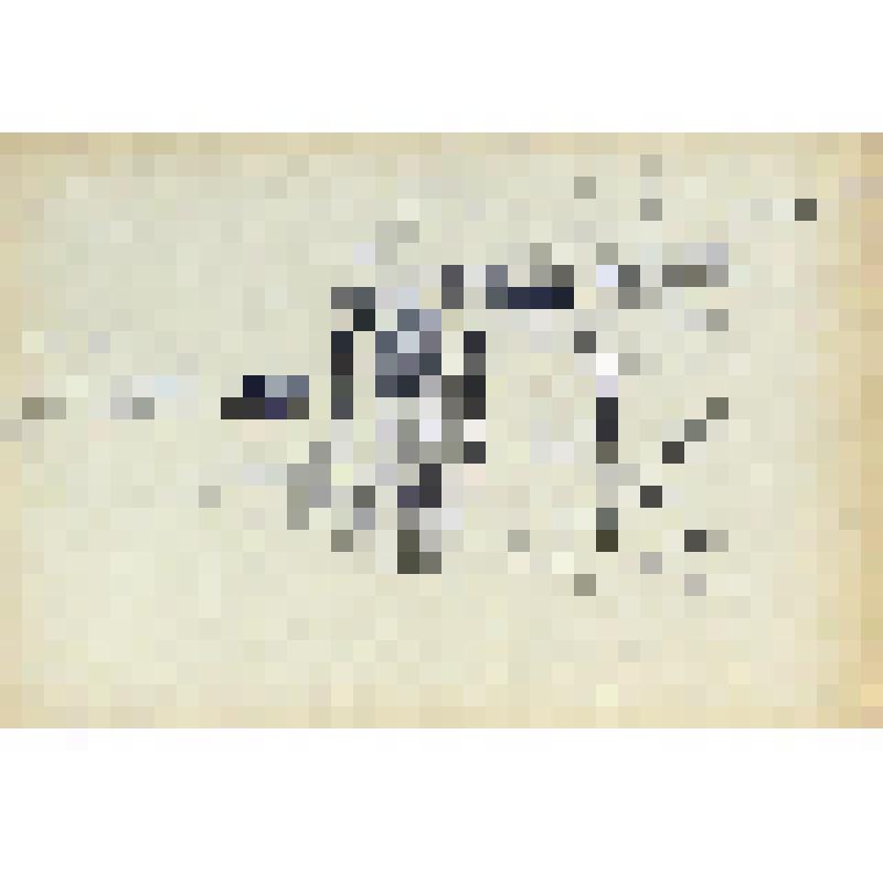 Лист 20. Из серии "Село Велегож. Весна 1965. №1"