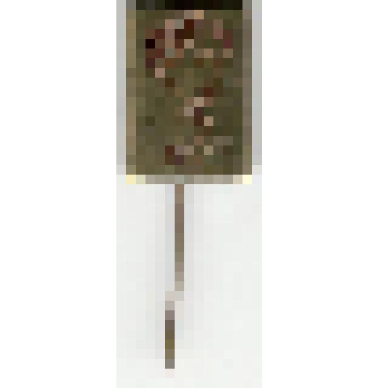 Значок. Чюрлёнис М.К. на иголке. СССР