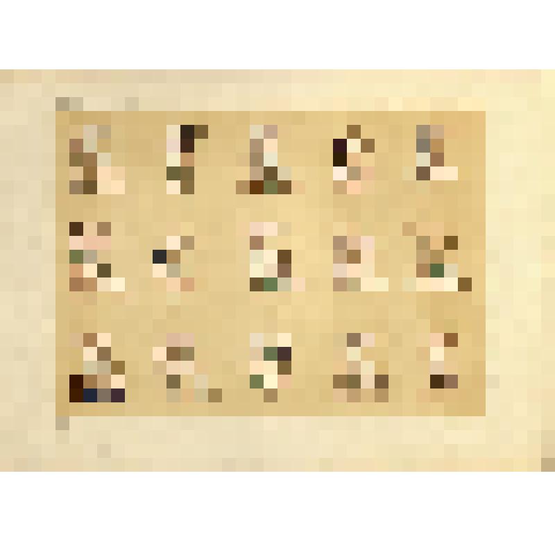 Лист XXXV (35). Русский орнамент XIII-XIV вв. Из альбома «История русского орнамента. С X по XVI столетие. По древним рукописям»