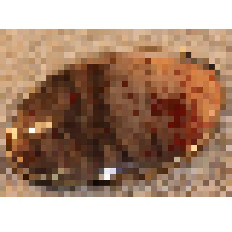 Брошь яшмовая розово-коричневая Ермаковой В.А., народной артистки СССР, из коллекции материалов Ермаковой Валентины Александровны (1924-2003), народной артистки СССР, лауреата Государственной премии России и премии имени Станиславского, профессора Саратов