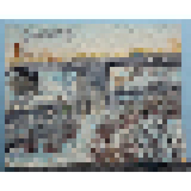 Этюд "Любимая помойка"