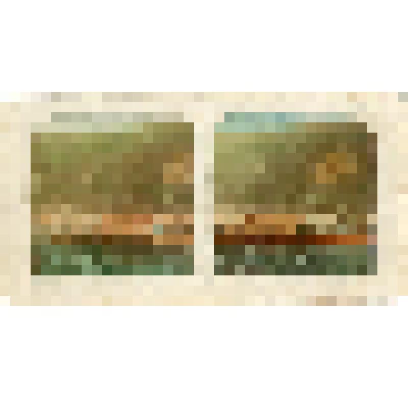 Фотография. Фото для диапроектора