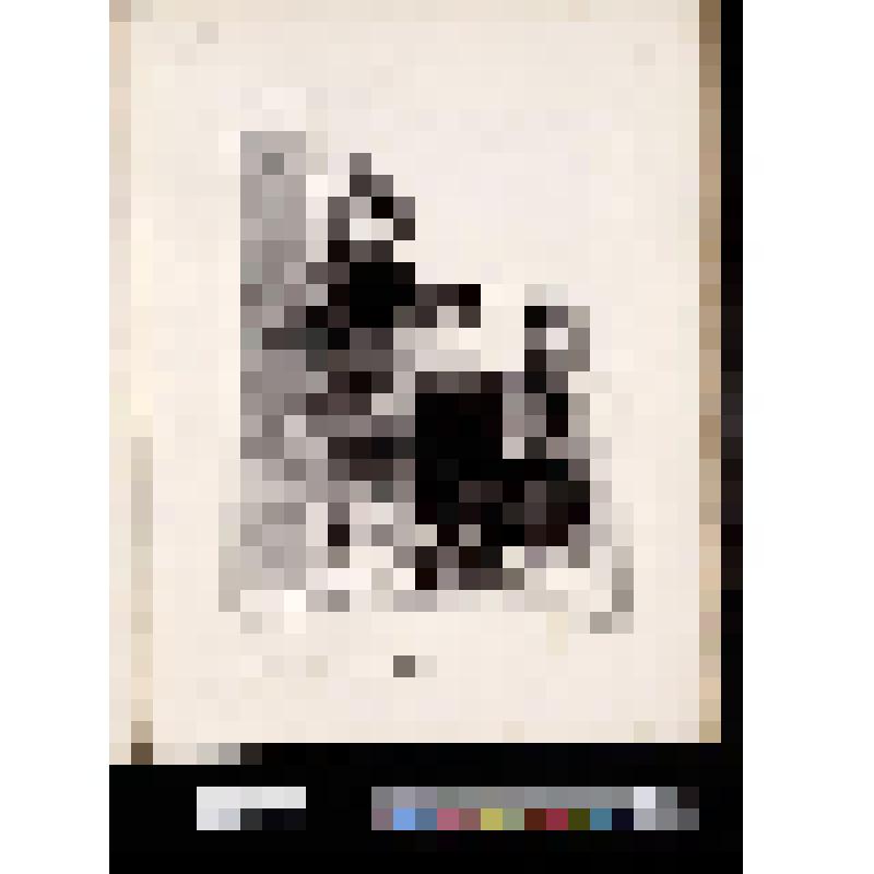 Мужчина в костюме трубочиста и женщина в костюме дебардер