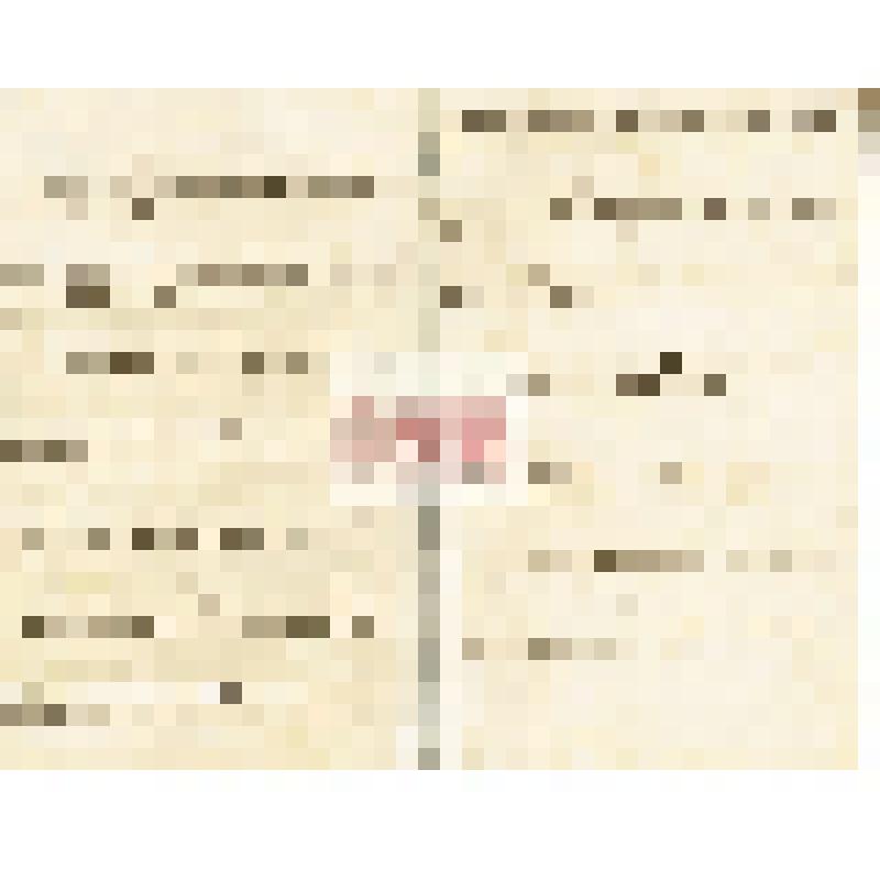 Письмо А. А. Макаренко Мартьянову с благодарностью за помощь в работе над сборником «Народная медицина Ужурской волости Ачинского округа»