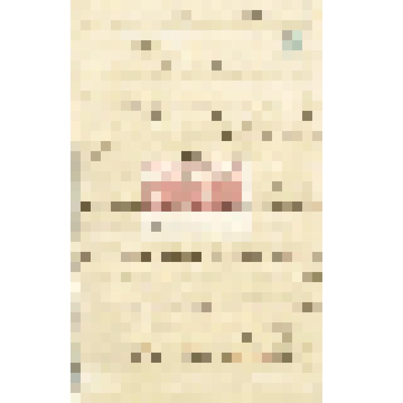 Письмо А. А. Макаренко Мартьянову с благодарностью за помощь в работе над сборником «Народная медицина Ужурской волости Ачинского округа»