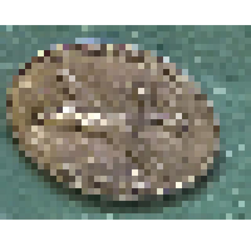 Значок. Самолёты ОКБ В.Мясищева. ДББ-102 1942г. Овальный. На булавке