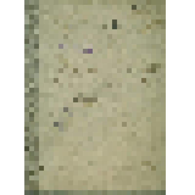 Подшивка ревизских сказок Сольвычегодской Городской Думы