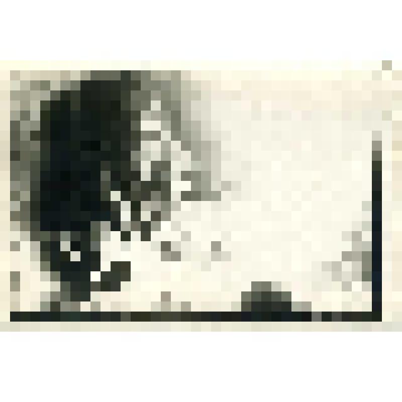 Женщина-ненка в чуме за рукоделием. Фотография