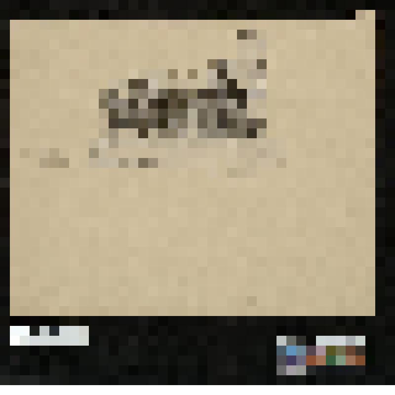 Вырезка из журнала. Обезьяна в поварском костюме пишет за конторкой