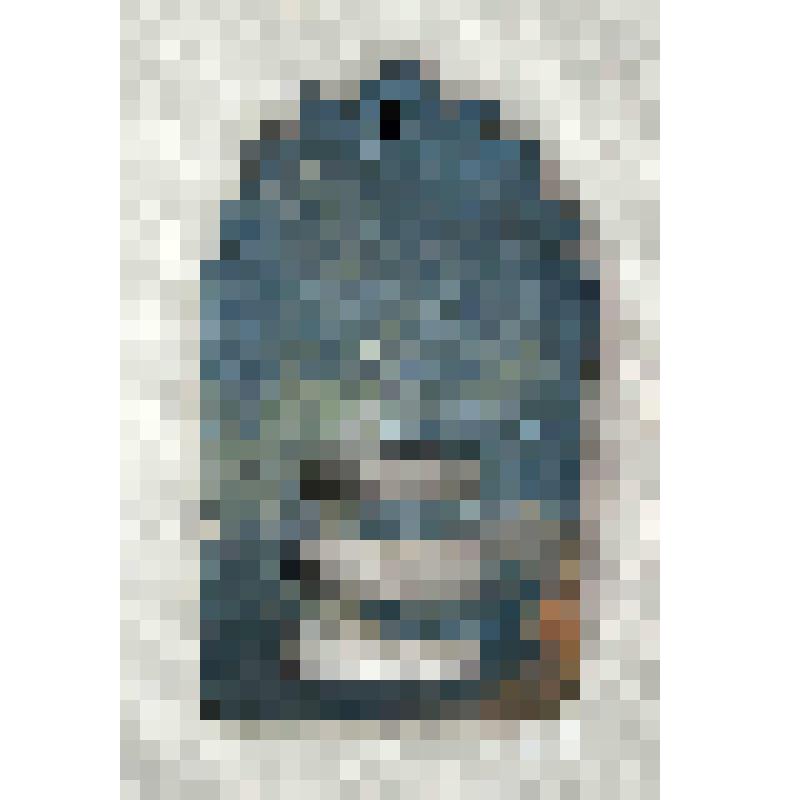 Щиток, основы пряжки мужского ремня. Коллекция сборов на могильнике Тогол-Погол