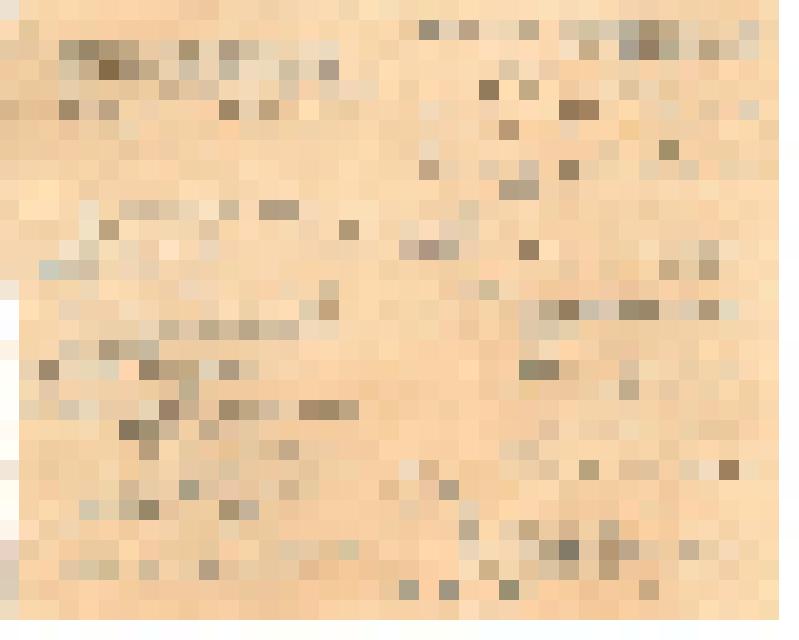 Протокол обсуждения Г.Г. Клуциса на заседании под председательством Б.Ф. Малкина