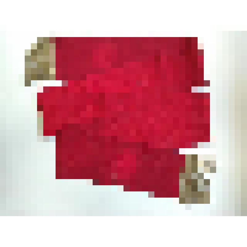 Лента ордена Александра Невского