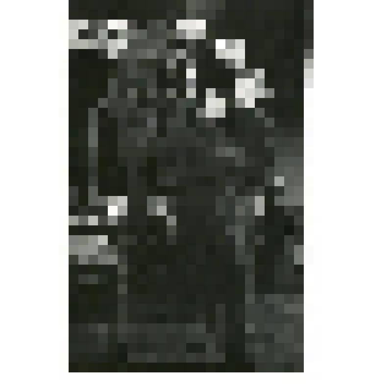 Фотография. Ярда - Любецкий Л.Г., Пепек - Миронов А.И., Капитан - Петров А.А. Крайний слева стоит на стремянке. Капитан - в кепке. "Если покинешь меня"