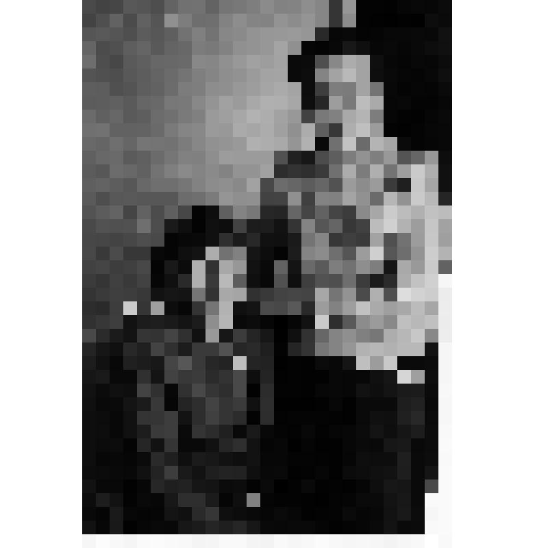 Фотография. Сухов Ф.Г. и Сухорукова М.А