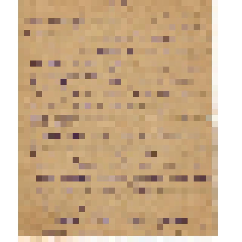 Фрагмент фронтового письма Михеева Александра Ивановича