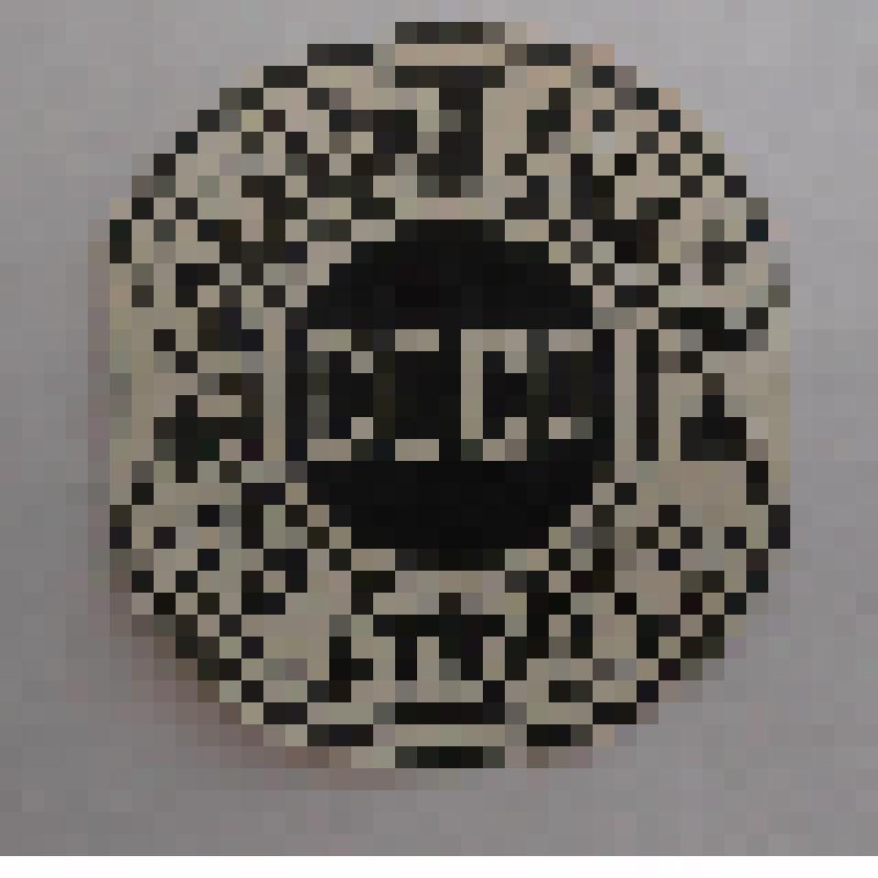 Матрица для фотокопирования при изготовлении значков фотохимическим травлением "Коллегия судей по спорту СССР"