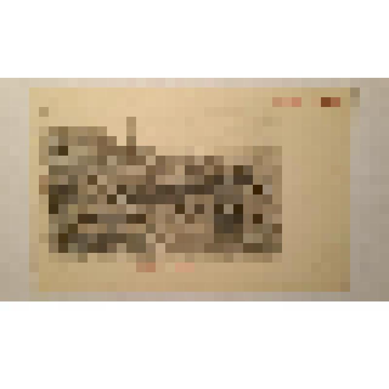 Украина, г. Одесса. Аркадия. Вид городского сада на берегу моря. Издатель не указан