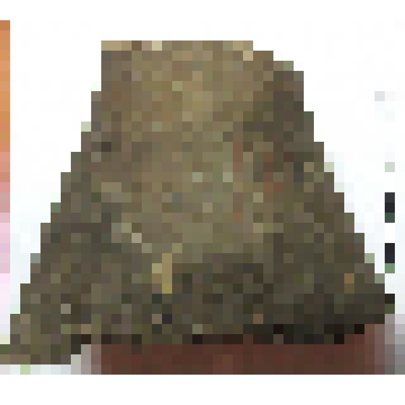 Нижняя часть горла амфоры типа D с дипинто