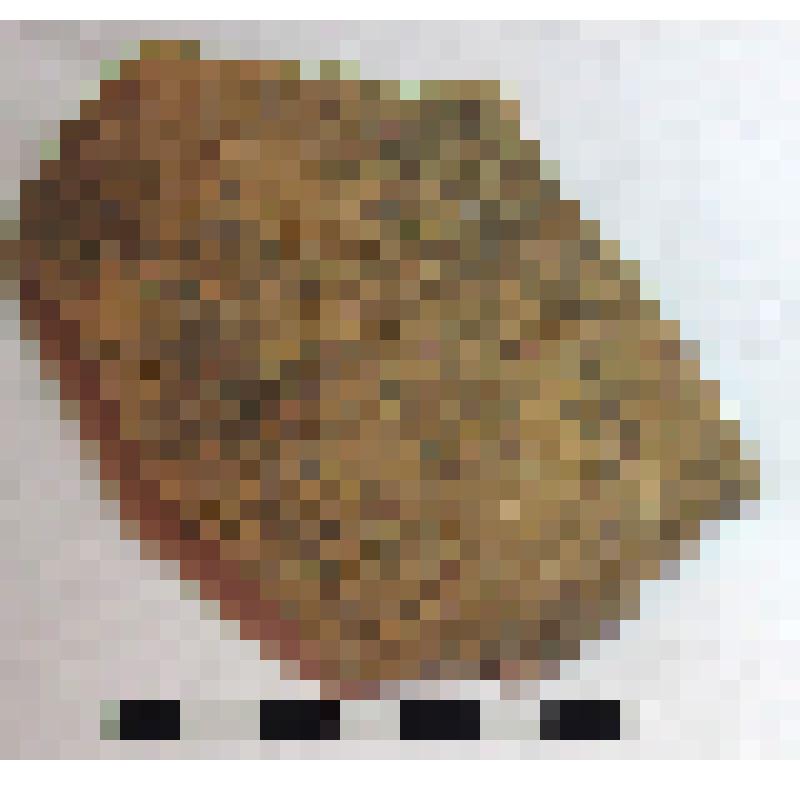 Фрагмент плеча амфоры типа D с дипинти