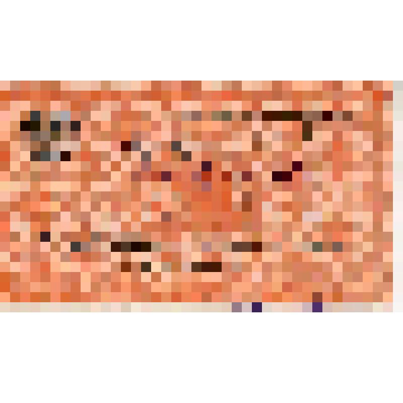 Пропуск N 8 Винокурова А.Н. для входа на трибуну Президиума заседания, посвященного XVIII-й годовщине Октябрьской революции