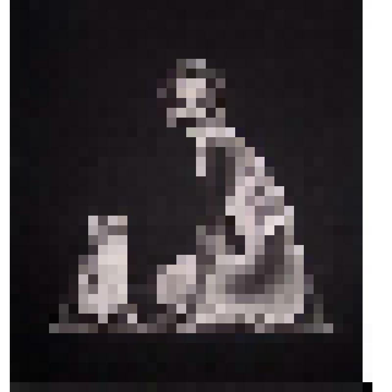 Кот / Le Chat