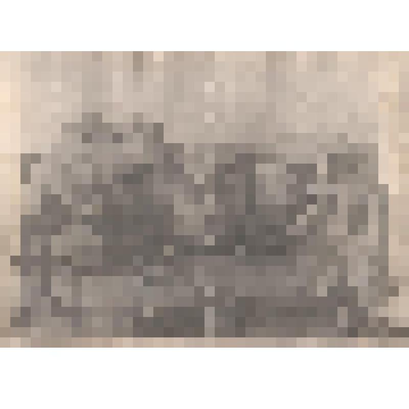 Фотокопия. Киргиз с верблюдом на базаре близ Троицка