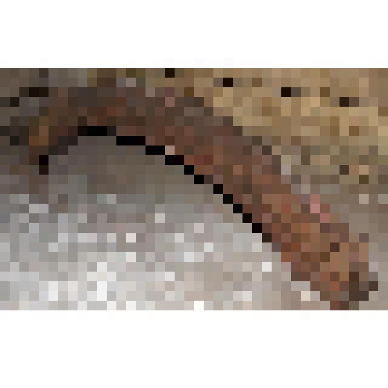 "Задний мост"-деталь кострукции