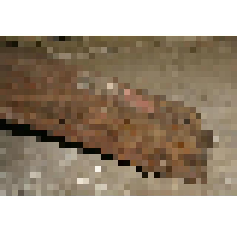 "Задний мост"-деталь кострукции