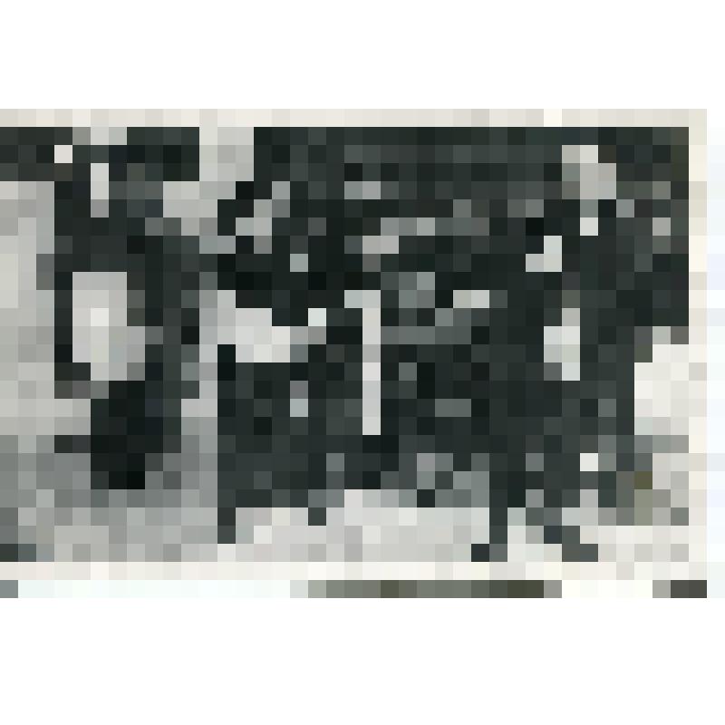 Фотография. Н.А. Зиновьева - Василиса Кокина,  В рост, в профиль, разговаривает с Кутузовым - Аркадин. "На старой смоленской дороге"