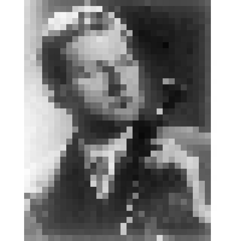 Негатив. Снитковский С. - советский скрипач