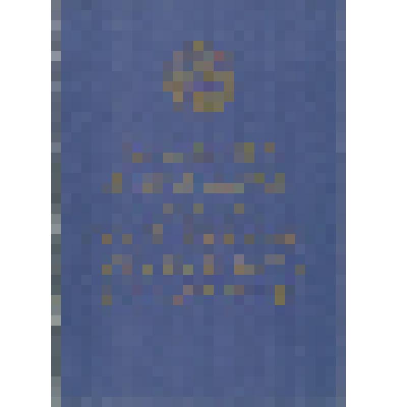 Диплом второй степени ЦК ДОСААФ СССР на имя  Мотова Г.Б. за второе место в составе команды Ирбитского мотозавода во Всесоюзных межзаводских испытаниях на первенство заводской марки 1969 года на экспериментальных дорожных машинах. Москва 15 октября 1969 г