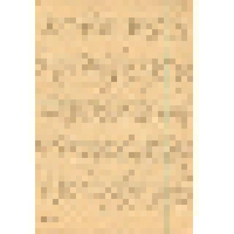 Письмо к Себенцовой Т.А