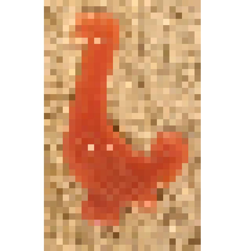 Игрушка елочная "Гусь", из коллекции елочных игрушек и украшений