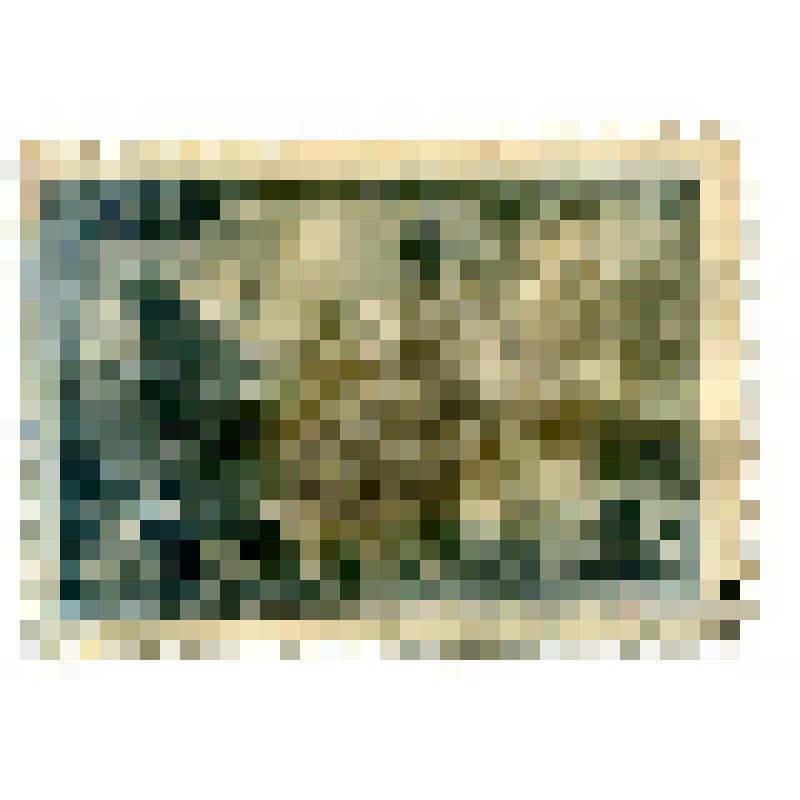 Почтовая марка 30 к. Вынос раненых