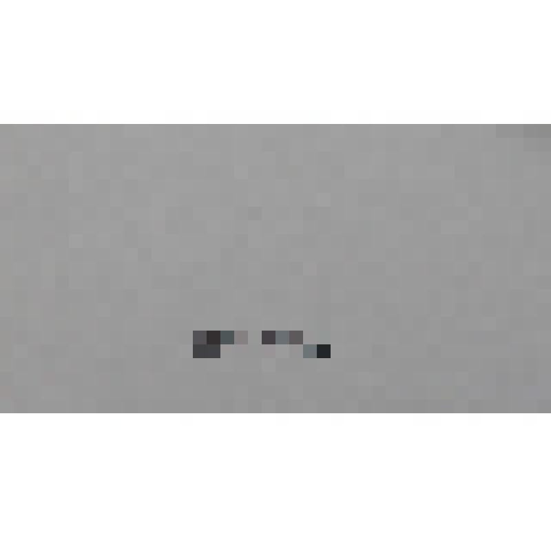 Гравюра "Портрет Людвига Великого герцога Гессенского" Германия 19 в