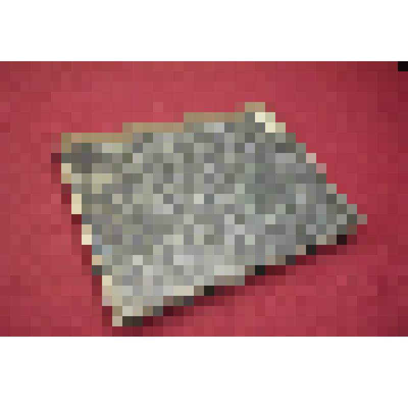 Книга. Эйхвальд. Атлас к палеонтологии России. Переплёт картонный, корешок и уголки переплёта из ткани