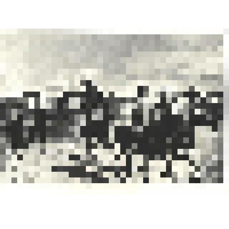 Фотографии. Фото ч/б. Генералы К.К. Рокоссовский и М.С. Малинин. Сняты на лошадях, 1942 г